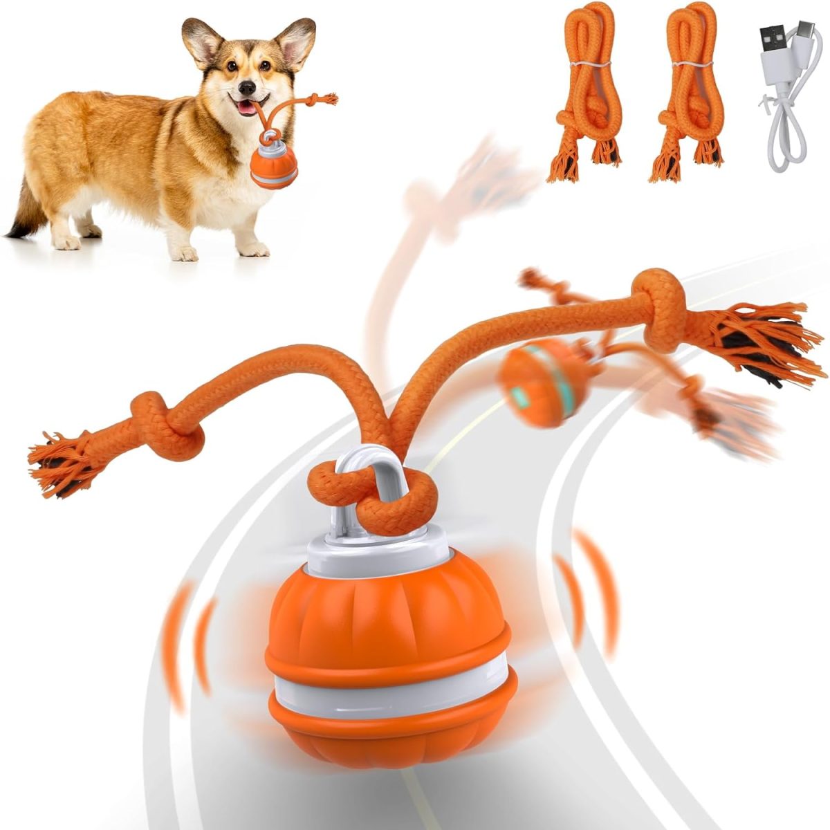 Pet Ball for Dogs, Dog Interactive Toys,Motion Activate Rolling Ball for Puppy/Small Dogs, Automatic Moving Toy,USB Rechargeable - Image 1