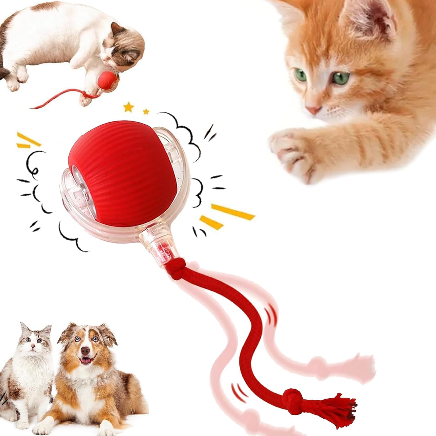 61XgOfqsXDL._AC_SL1500_.jpg Interactive Electric Dog Ball, 360 Smart Automatic Cat Ball Toys for Bored Indoor Cats and Dogs - Image 1