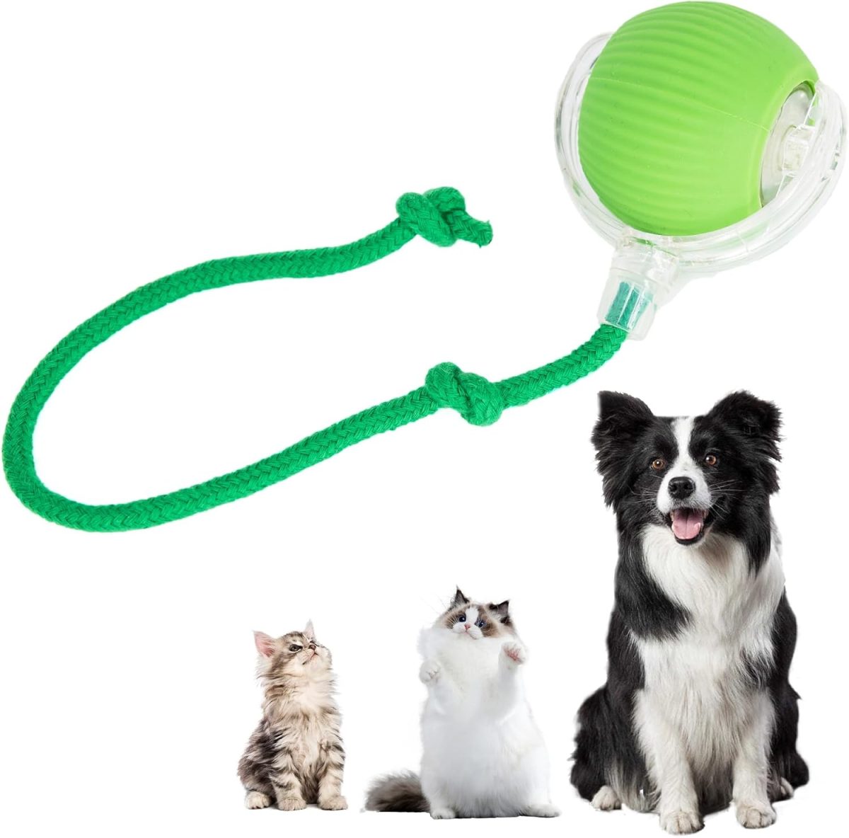 Interactive Cat Toys Ball for Indoor Cats, Interactive Rolling Small Dog Cat Toys Automatic Self Moving, 360°,Electric Balls，Fast Rolling，Smart Automatic Rolling Pet Ball (Green) - Image 1